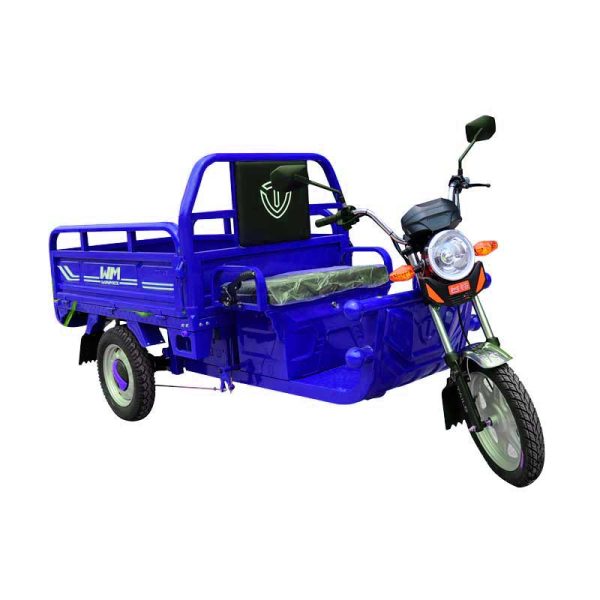 Motocarro Eléctrico WMS - Imagen 4