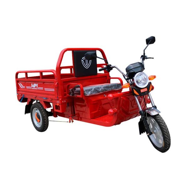 Motocarro Eléctrico WMS