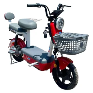 Bicicleta Eléctrica TDT0081Z
