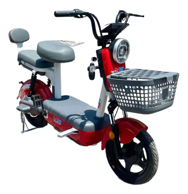 Bicicleta Eléctrica TDT0081Z