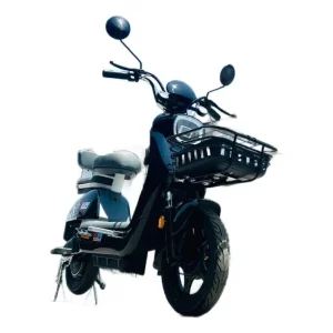 Bicicleta Eléctrica TDT016Z