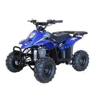 CUATRIMOTO INFANTIL D110