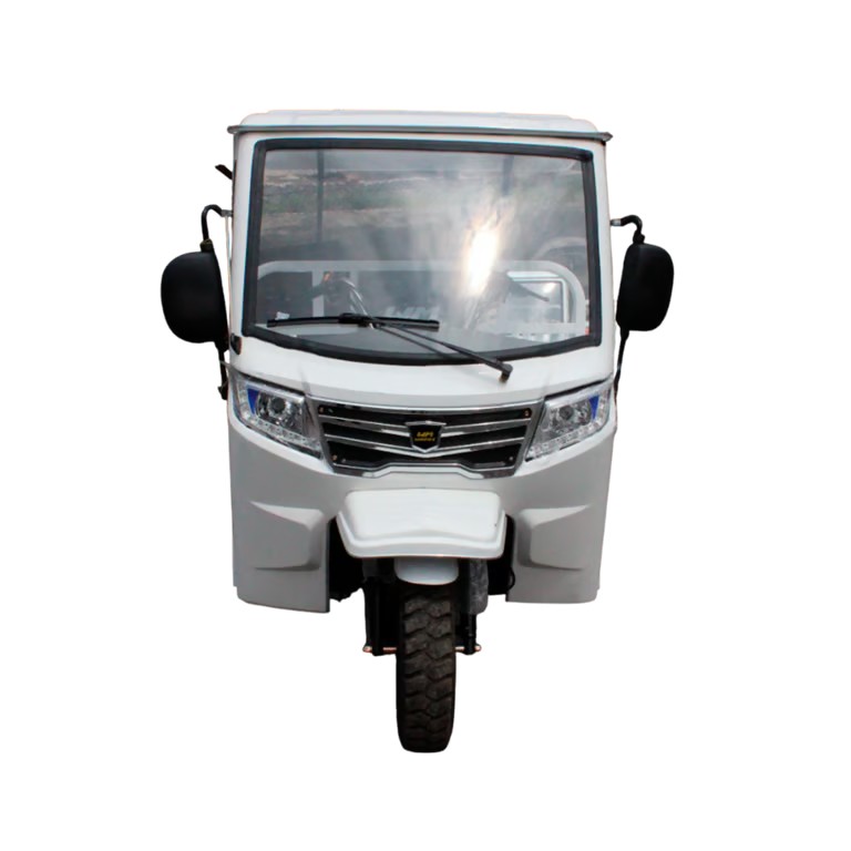 Motocarro WM 250 cc - Imagen 2