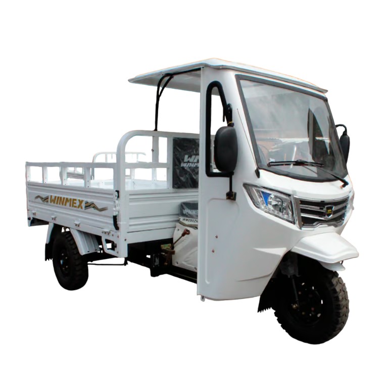 Motocarro WM 250 cc - Imagen 3