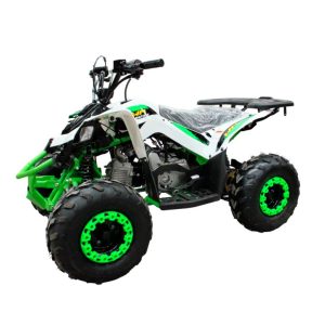 Cuatrimoto MH110 cc