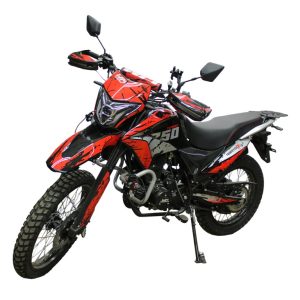 Motocicleta TOURIST 250X