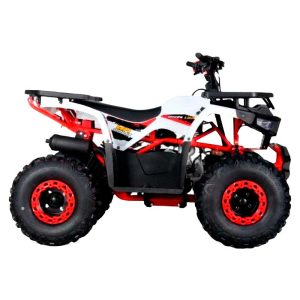Cuatrimoto MH125 Lujo
