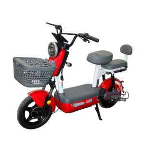 BICICLETA ELECTRICA MOD JY02