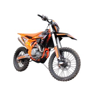 Motocicleta Liberty 450